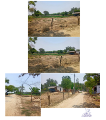 SANKALP TRADING COMPANY-250820251